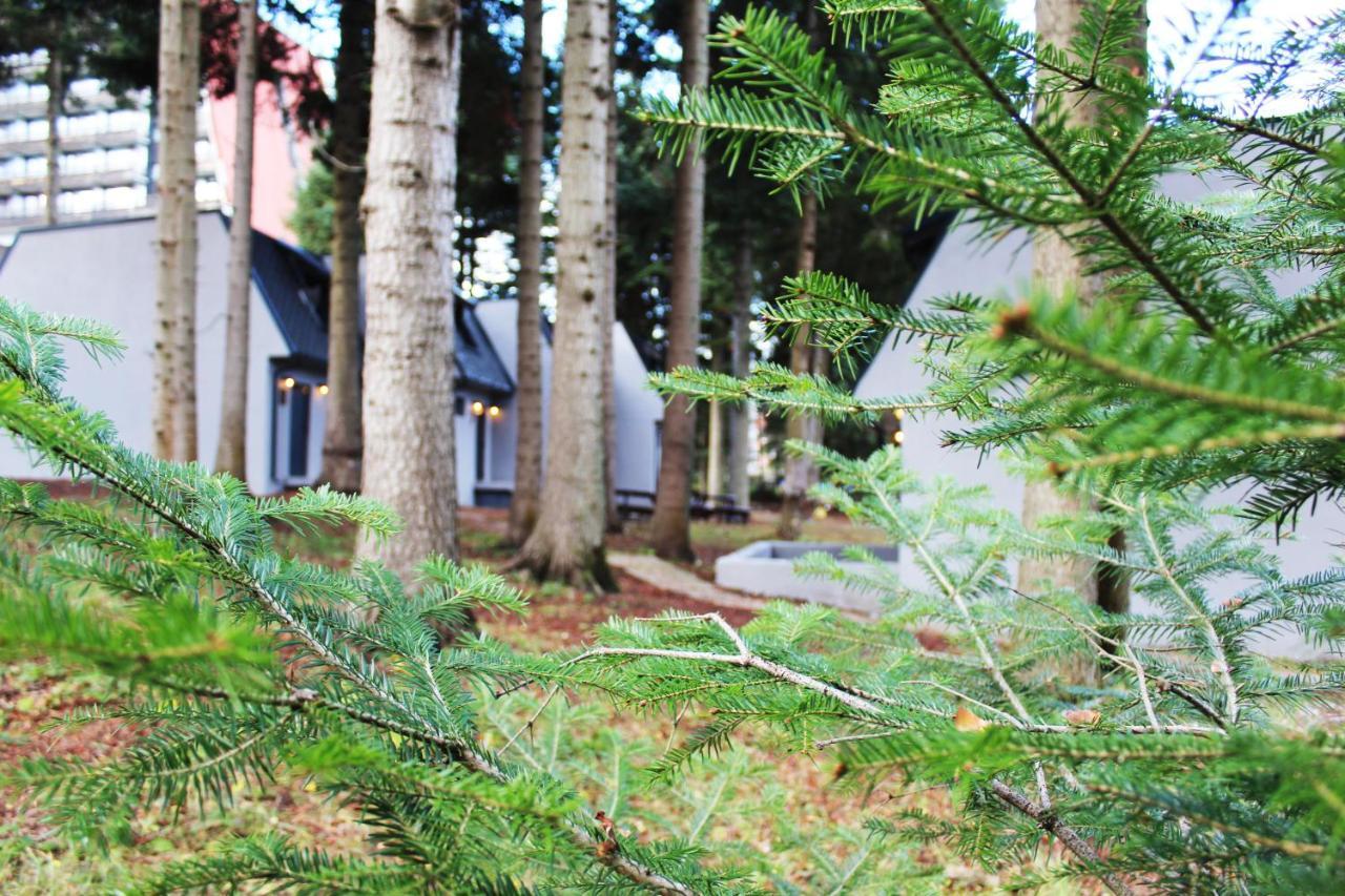 Boro Green Holiday Village Μπόροβετς Εξωτερικό φωτογραφία