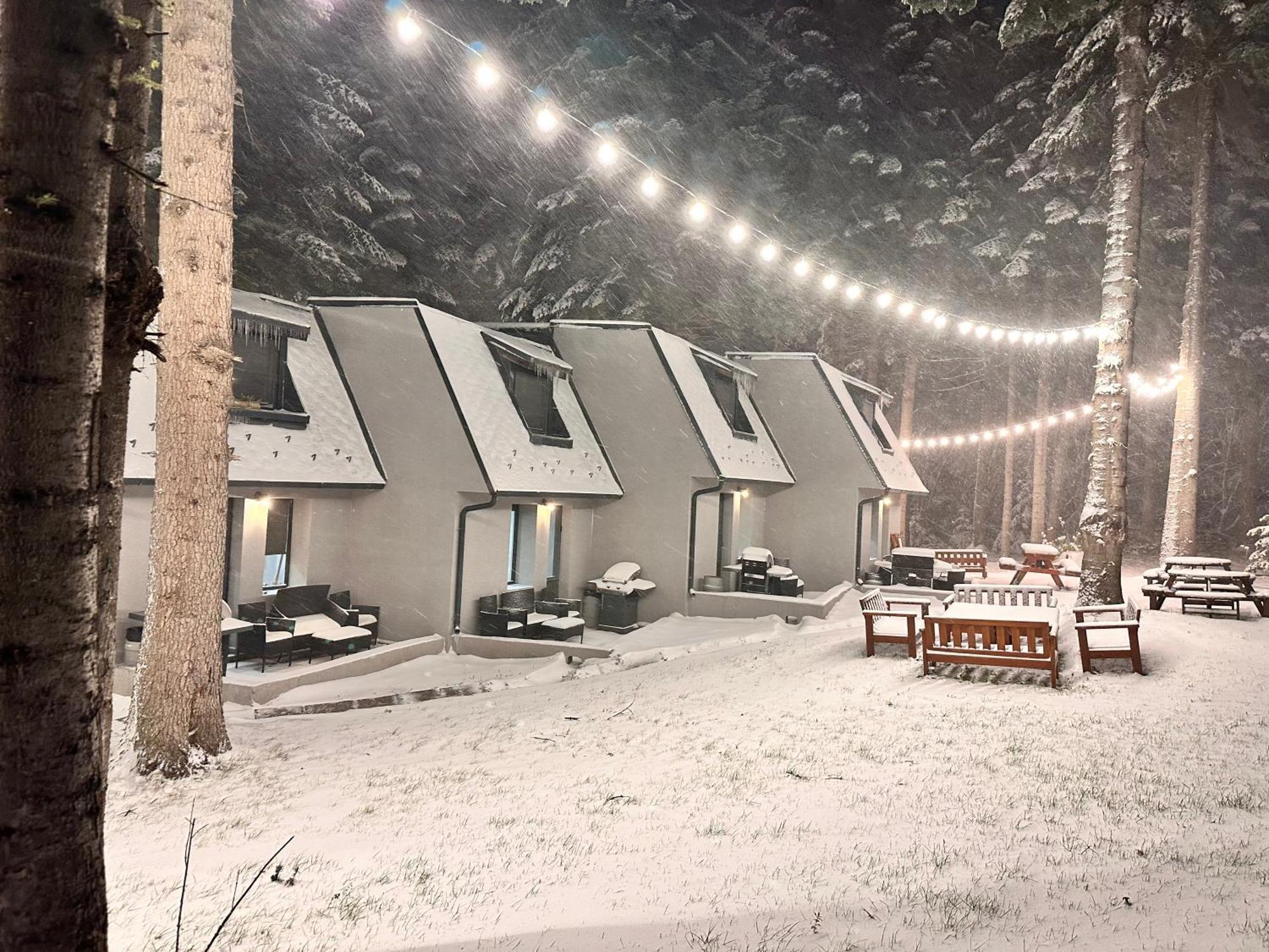 Boro Green Holiday Village Μπόροβετς Εξωτερικό φωτογραφία