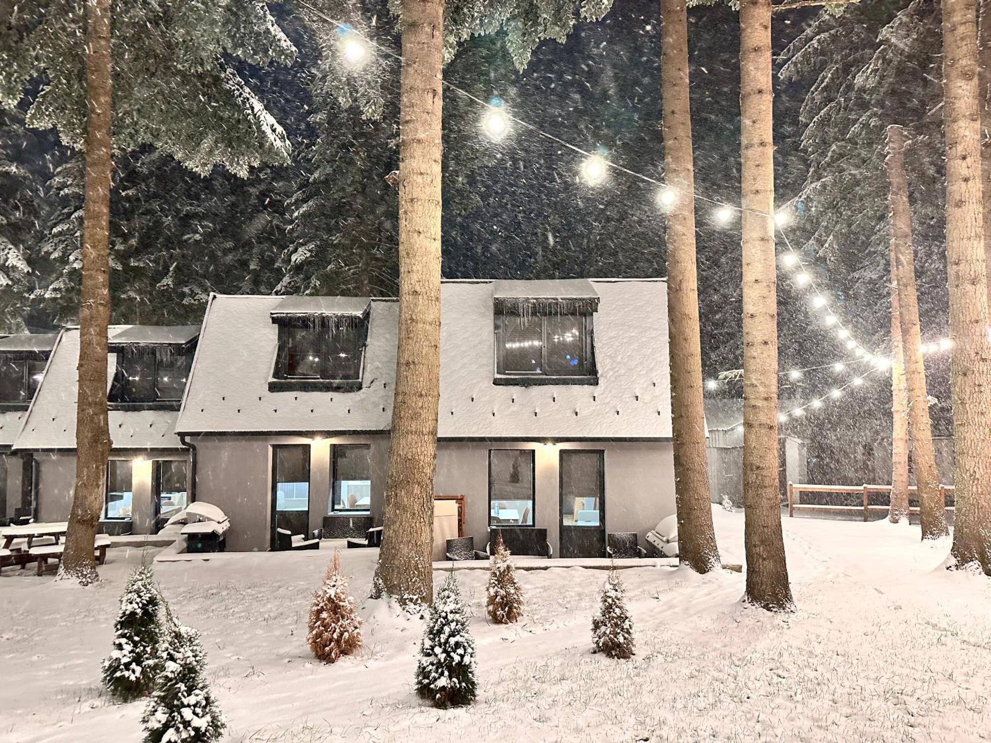 Boro Green Holiday Village Μπόροβετς Εξωτερικό φωτογραφία