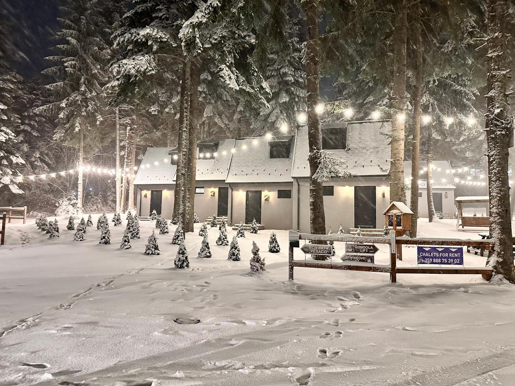 Boro Green Holiday Village Μπόροβετς Εξωτερικό φωτογραφία