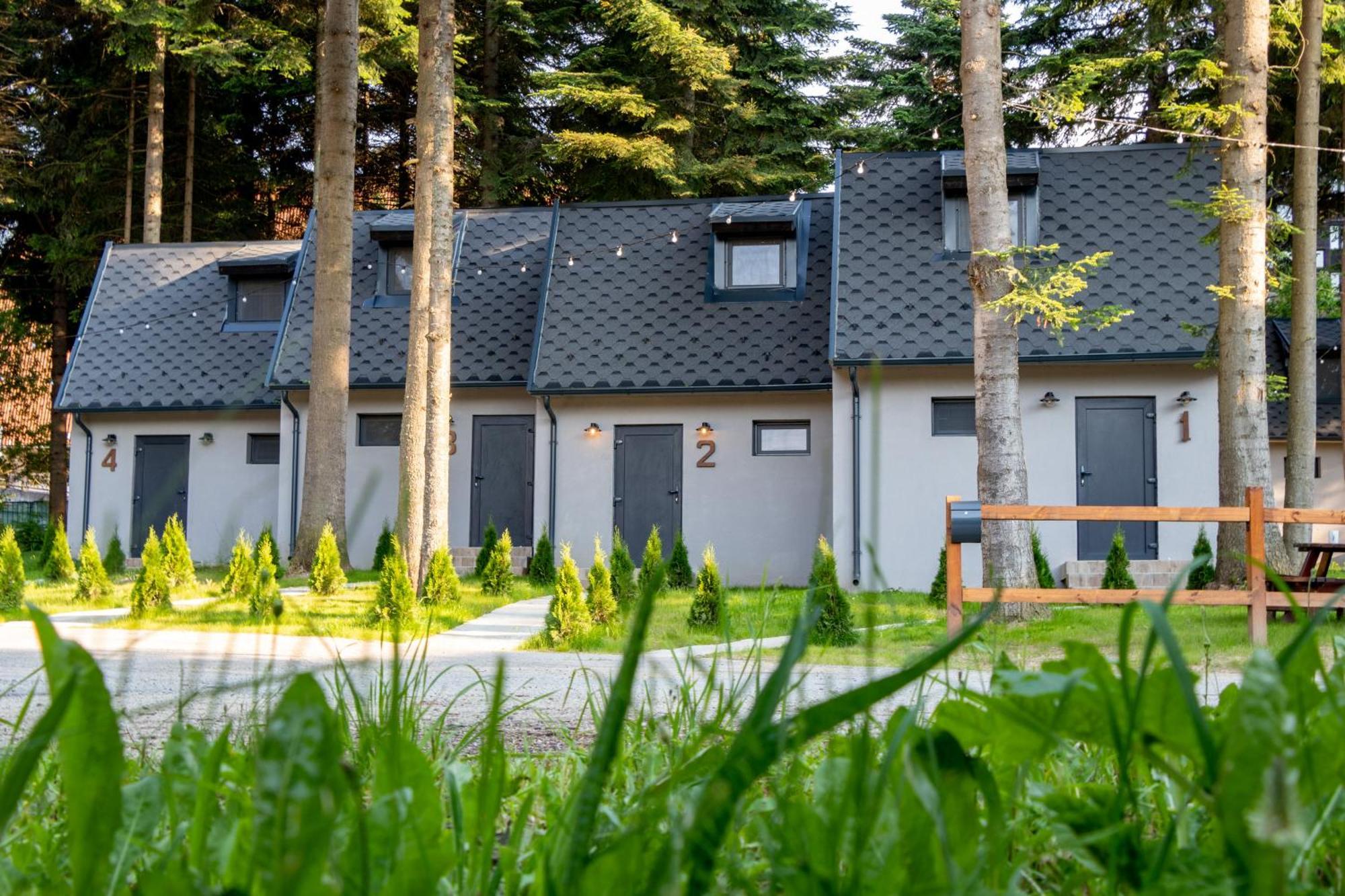 Boro Green Holiday Village Μπόροβετς Εξωτερικό φωτογραφία