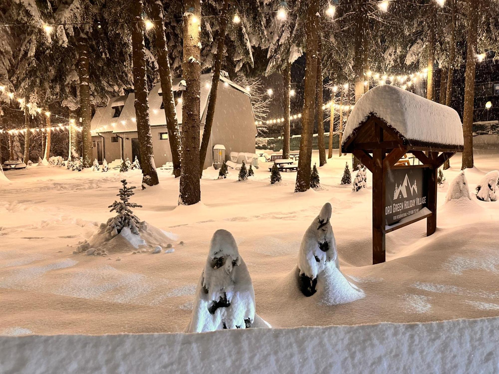 Boro Green Holiday Village Μπόροβετς Εξωτερικό φωτογραφία